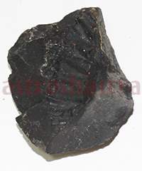 Shaligram 10780 20gm